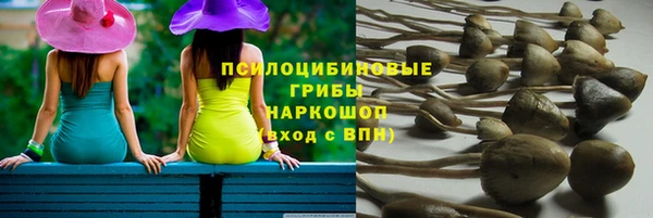 спиды Богородск