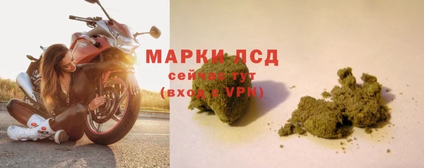 спиды Богородск